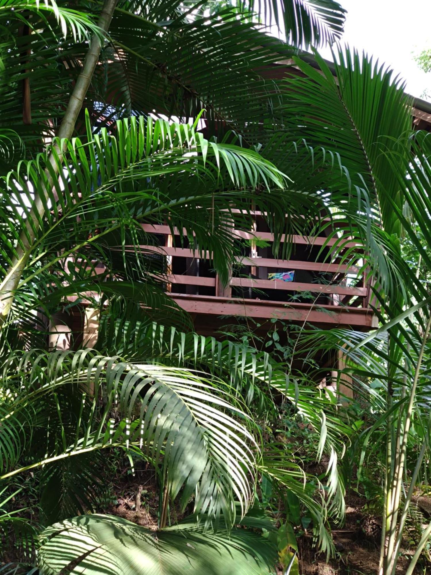 A Peace In Paradise Anse Royale Exteriér fotografie