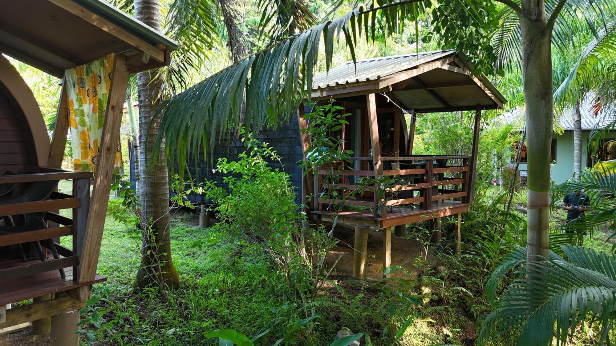 A Peace In Paradise Anse Royale Exteriér fotografie